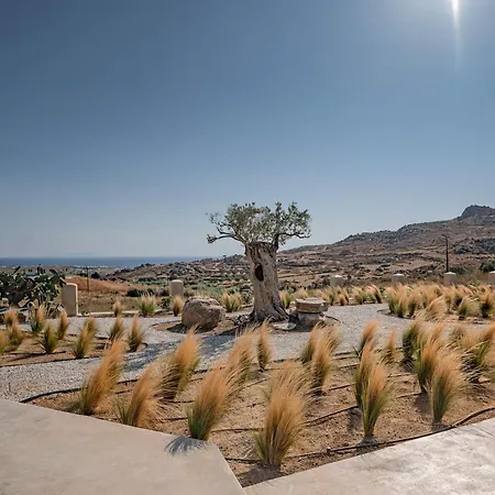 فيلة Terra & Olive Naxos Kastrákion